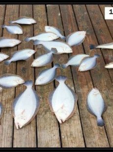 Flounder and Reds!!!