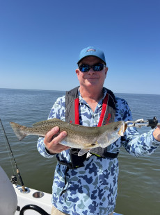 Lake pontchartrain report