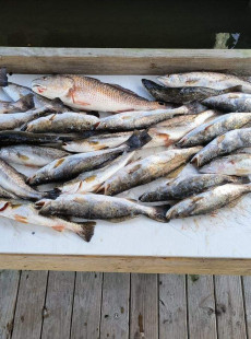 Fireball Fishing Dec.’24