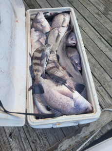 Tight Lines and full coolers!