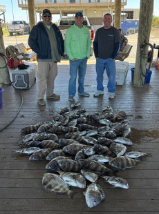 Dularge Sheepshead!