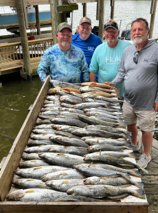Trestle Trout