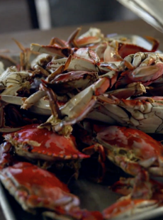 Slap Ya Mama Boiled Crabs