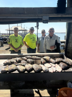 Sheepshead are finally here
