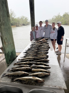 Trout, trout and more trout 