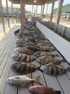 march 8 Marsh Report