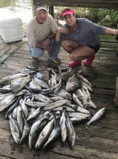 It's Been a Good June so Far in Shell Beach