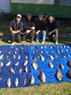 Limit of Trout Plus-