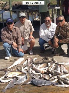 Mixed Box of Incredible Big Fish!