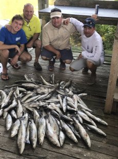 Monday Trout Haul at Shell Beach