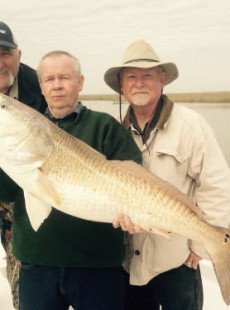 North Dakota Reds